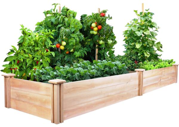 Finding the Best Raised Bed Kit