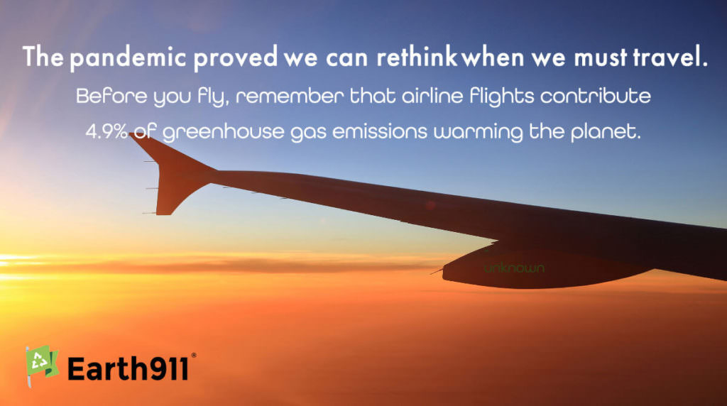 We Earthlings: Rethink Air Travel