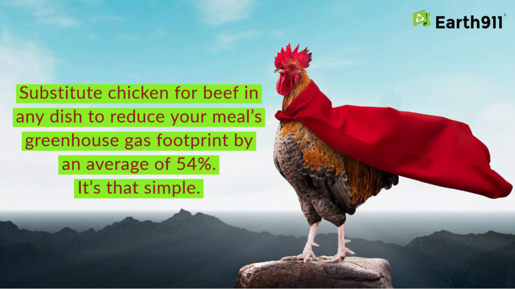 We Earthlings: Substitute Chicken for Beef