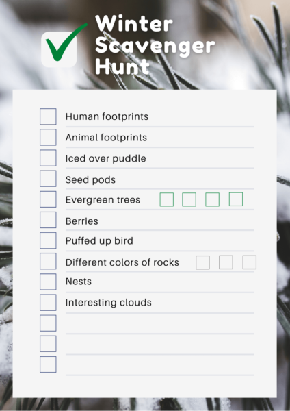 Take Your Kids on a Winter Nature Scavenger Hunt