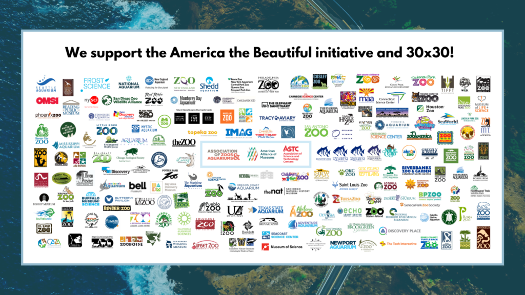 180 zoos, aquariums, and museums from all 50 states sign in support of 30×30 and America the Beautiful