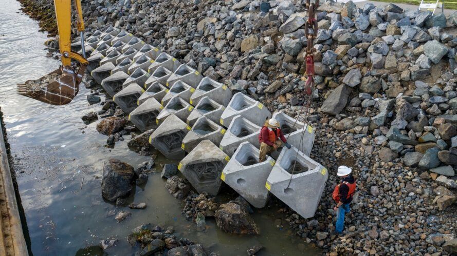 Eco-concrete blocks are used to protect sea life