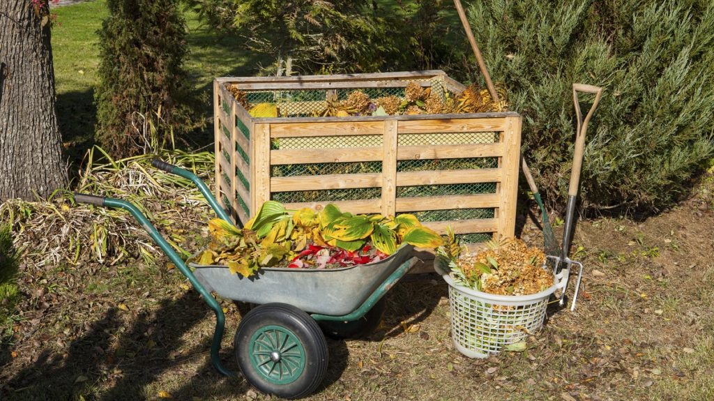 Quiz #86: Composting Challenge