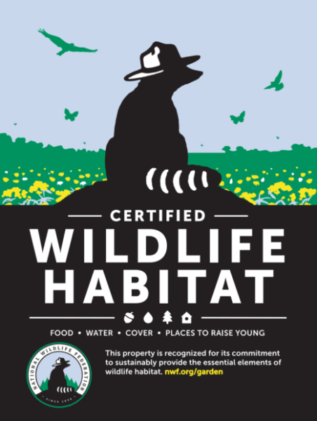 Go Wild! How To Certify Your Backyard as Wildlife Habitat