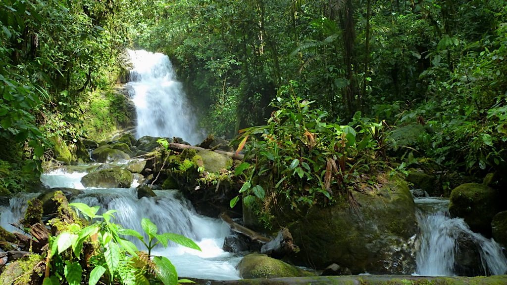Landmark Ruling Blocks Mining in Ecuadorian Forest, Citing Rights of Nature