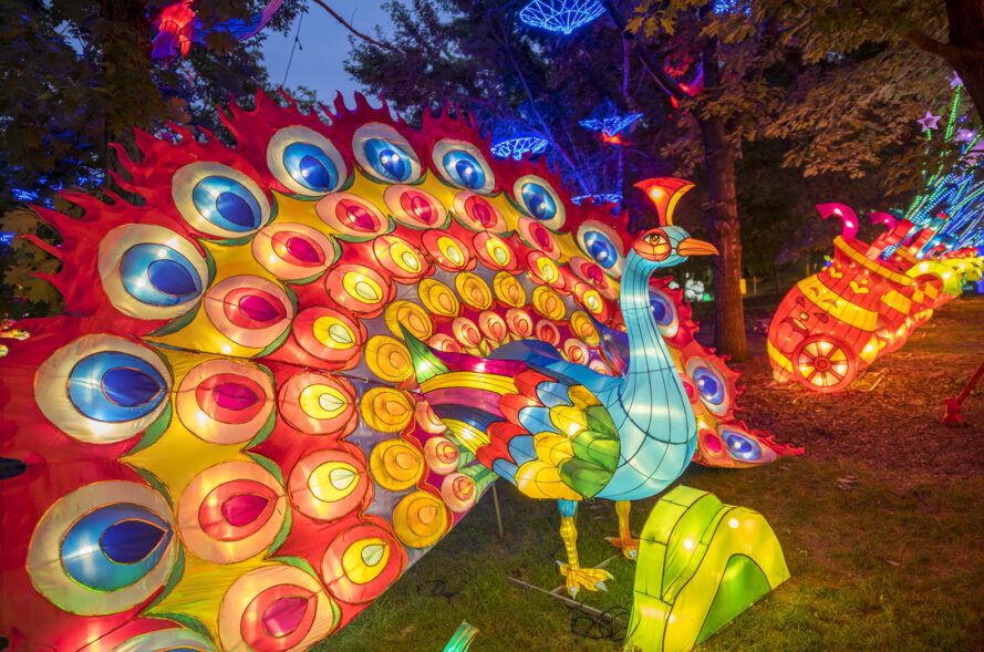 Nature and art merge with these stunning, colorful lanterns
