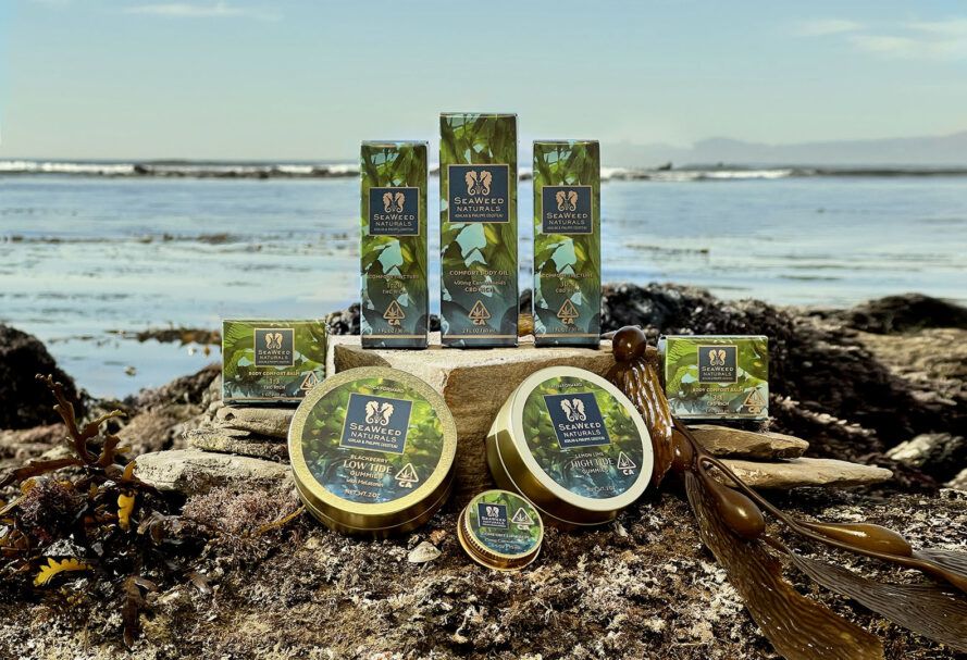 SeaWeed Naturals harnesses the magic of seaweed and CBD