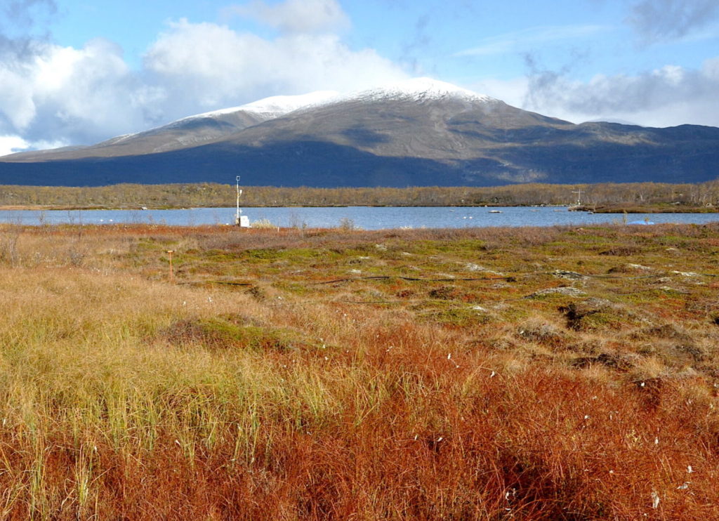 Thawing Permafrost In Sweden Releases Less Methane Than Feared, Study Finds
