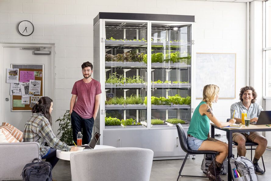 These micro-farms put a new spin to farm-to-table