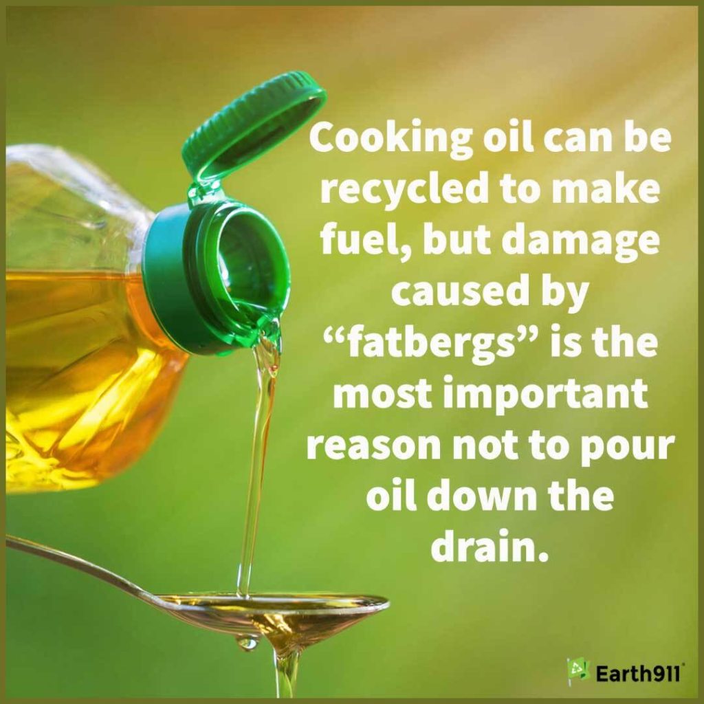 We Earthlings: Collect Your Used Cooking Oil