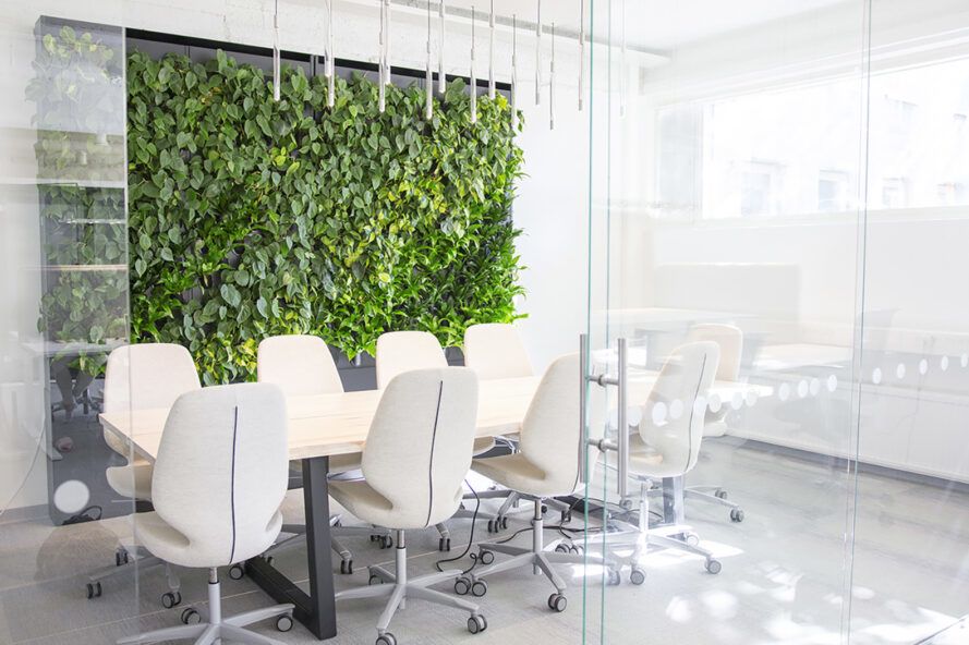 Clean the air in your home with green walls from Naava