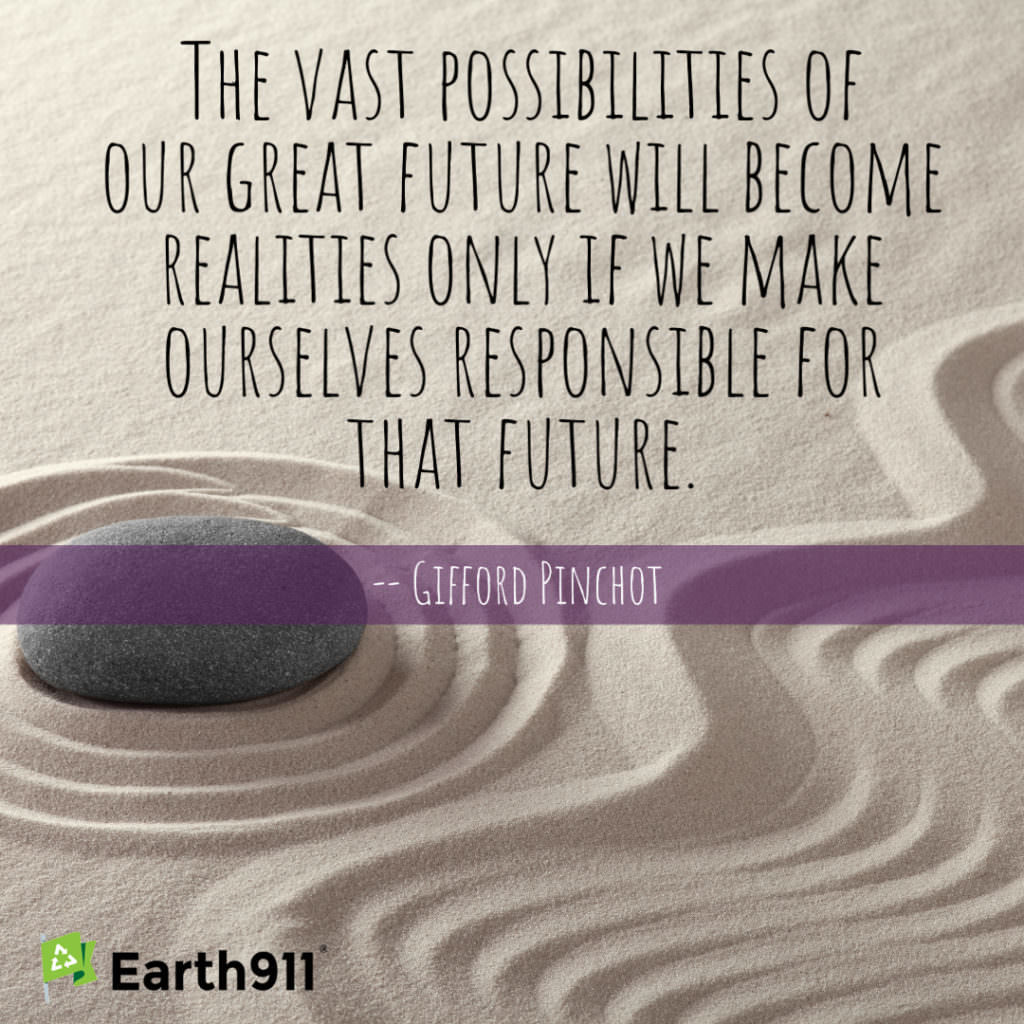 Earth911 Inspiration: Our Future’s Vast Possibilities
