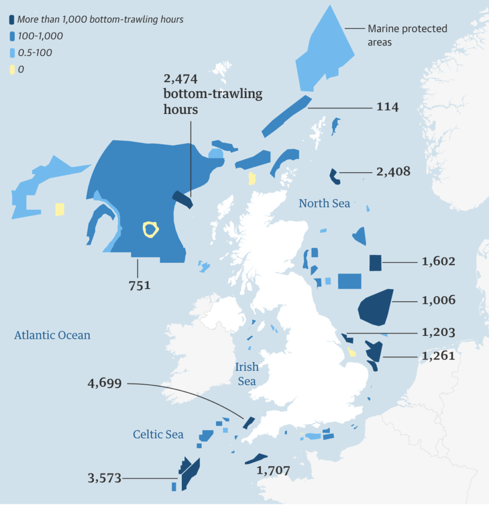 Fishing Industry Bottom-Trawling 90 Percent of UK Marine Protected Areas, Data Shows
