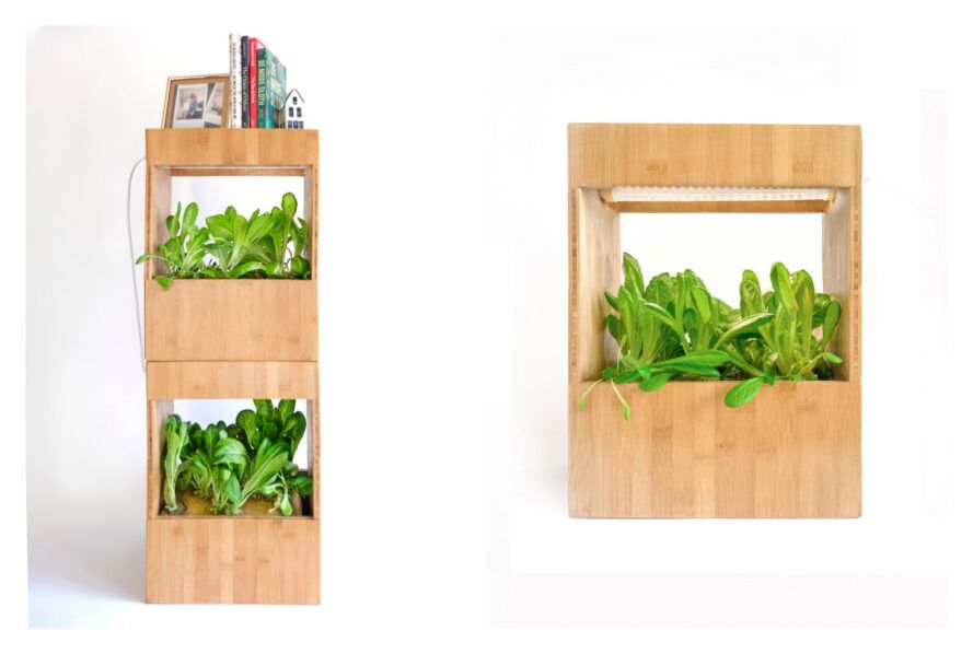 This plant box makes it easy to grow your own food