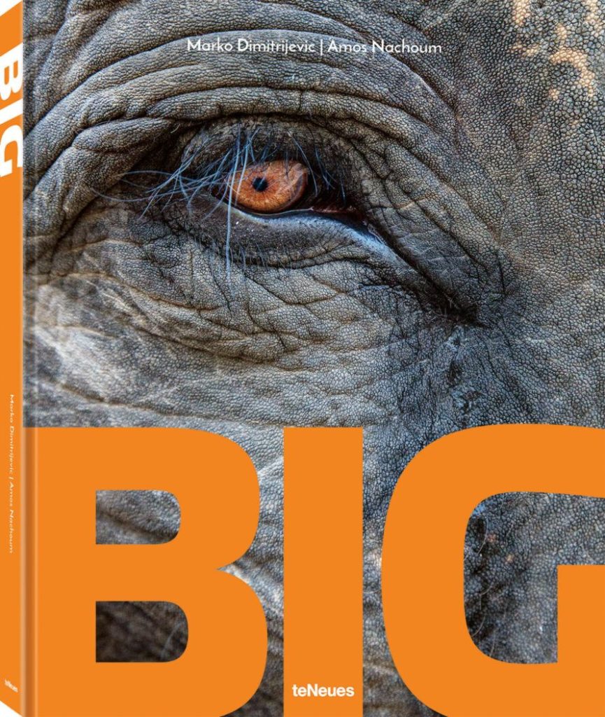 Wildlife photography book takes you on BIG armchair safari