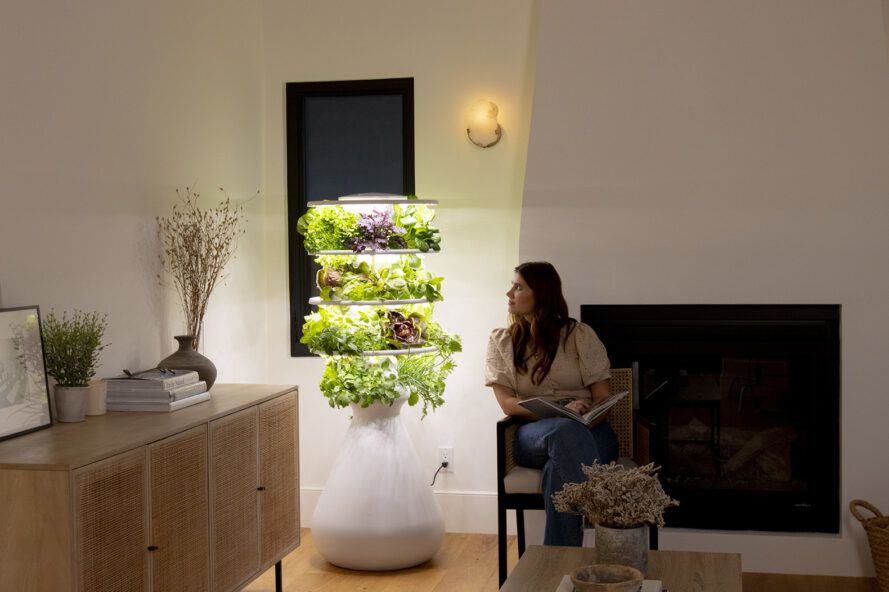 An urban vertical planter is an easy and affordable garden