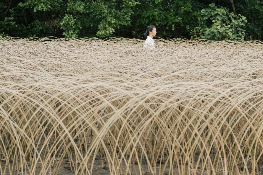 Bamboo artist simulates monsoon winds in landscape design