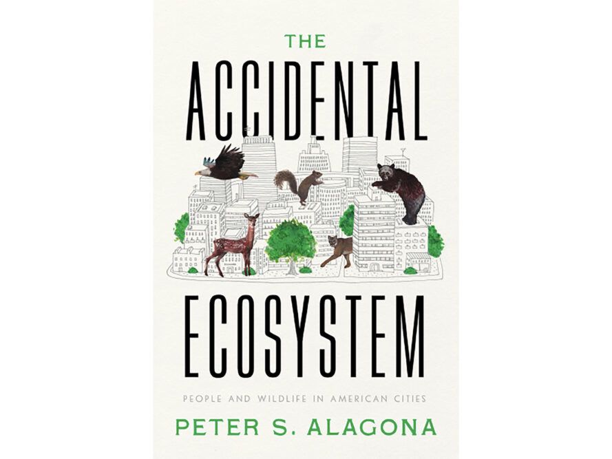 “The Accidental Ecosystem” that’s right outside your door