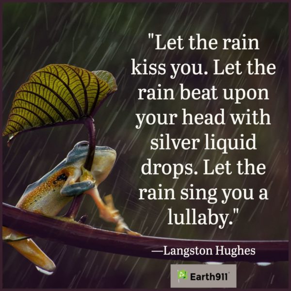 Earth911 Inspiration: Let the Rain Sing You a Lullaby