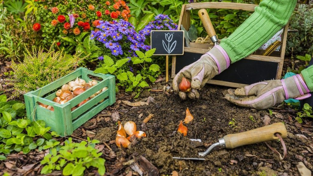 Start Thinking About Your Spring Garden Now