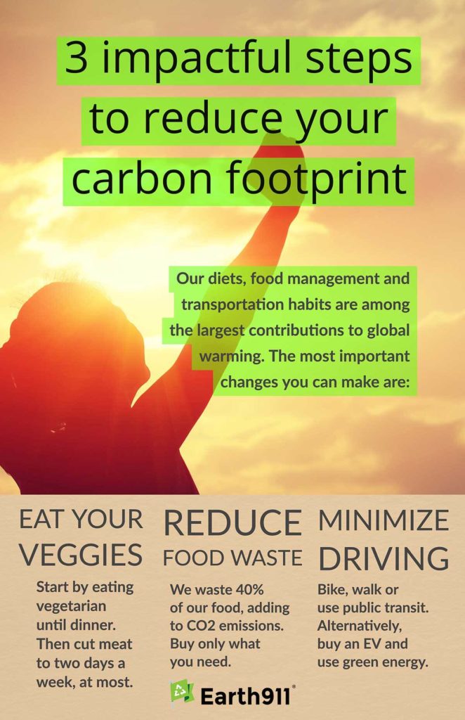 We Earthlings: 3 Ways To Reduce Your Carbon Footprint