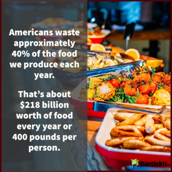 We Earthlings: 400 Pounds of Wasted Food per Person