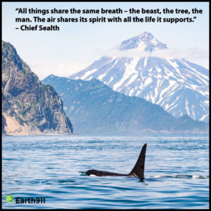 Earth911 Inspiration: All Things Share the Same Breath
