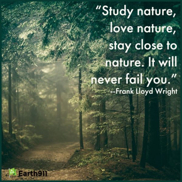Earth911 Inspiration: Study Nature, Love Nature