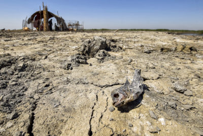 After Comeback, Southern Iraq’s Marshes Are Now Drying Up