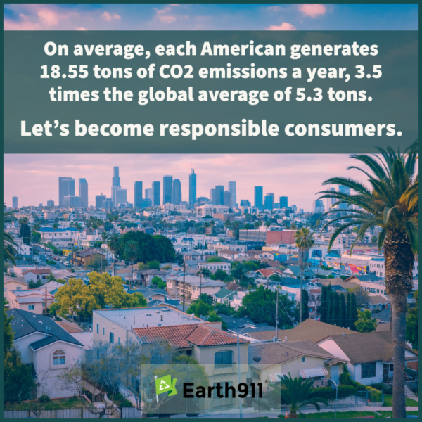 We Earthlings: Responsible Consumers