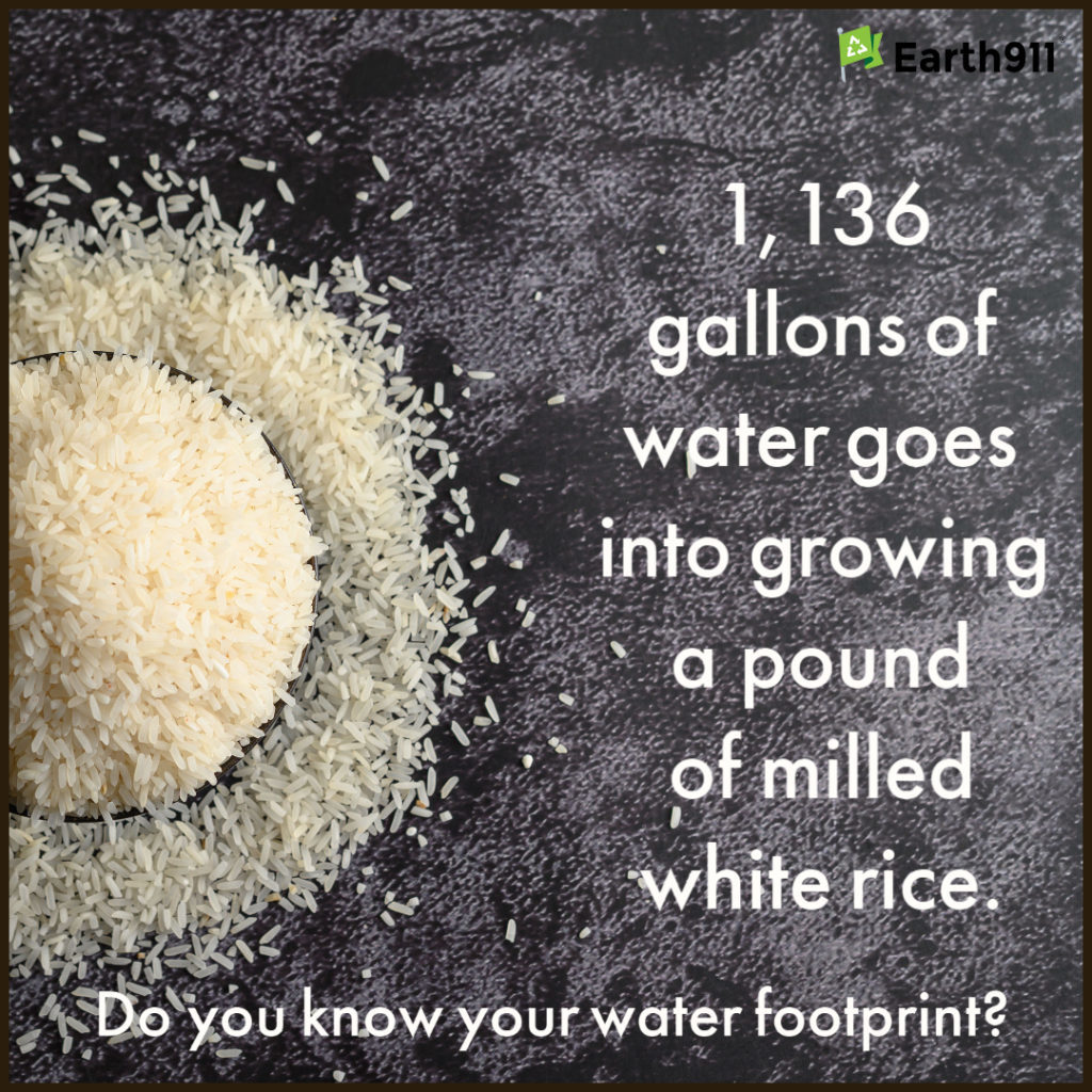 We Earthlings: The Water Footprint of White Rice