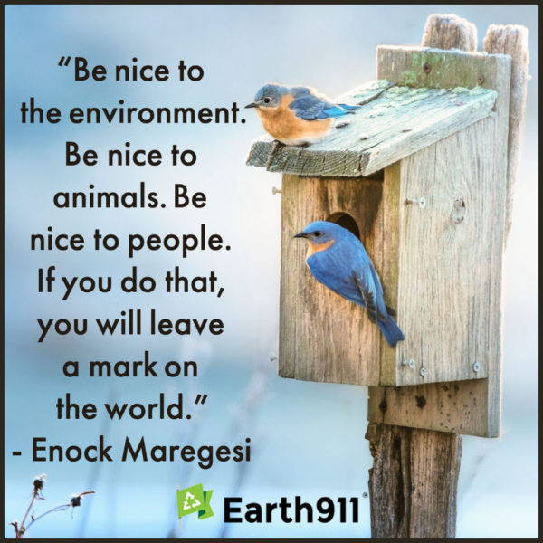 Earth911 Inspiration: Be Nice to the Environment