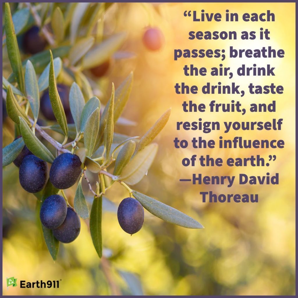 Earth911 Inspiration: Live in Each Season as It Passes