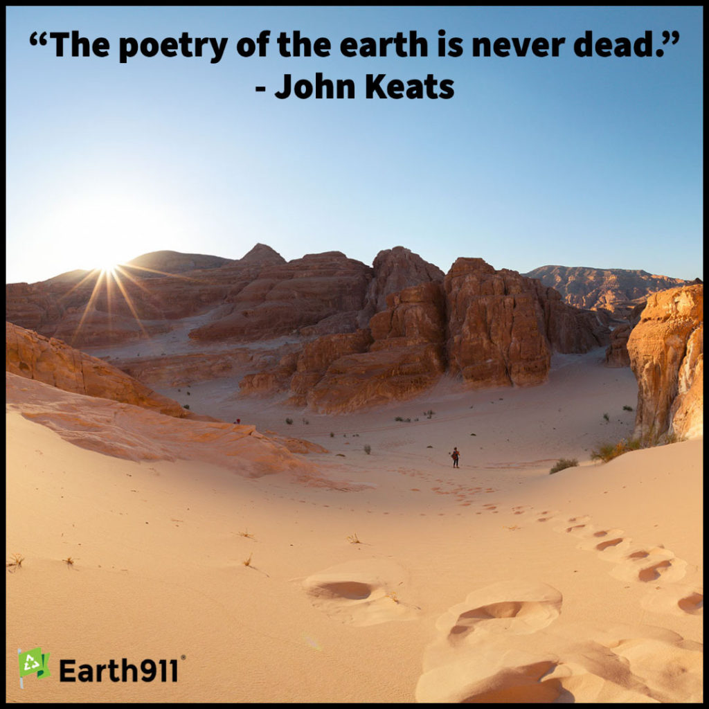 Earth911 Inspiration: The Poetry of the Earth