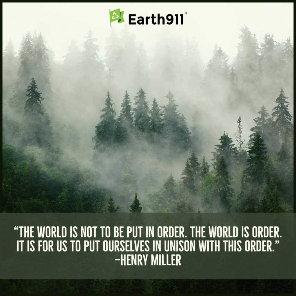Earth911 Inspiration: The World Is Order