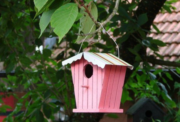 Livable Housing — for the Birds