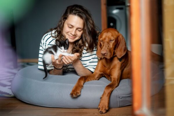 Protect Your Pets From Essential Oils