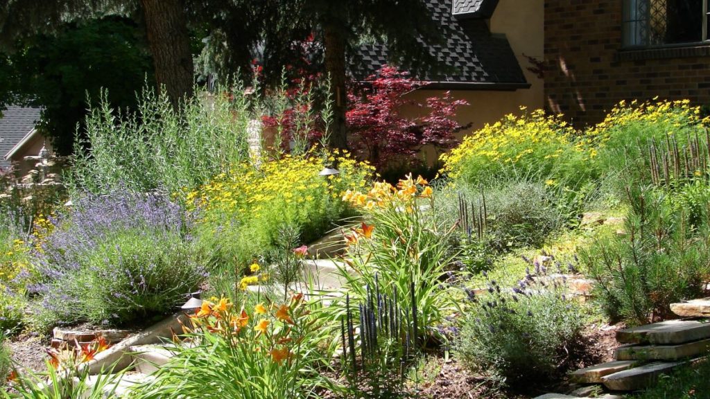 Xeriscaping 101: Landscaping With Minimal Water