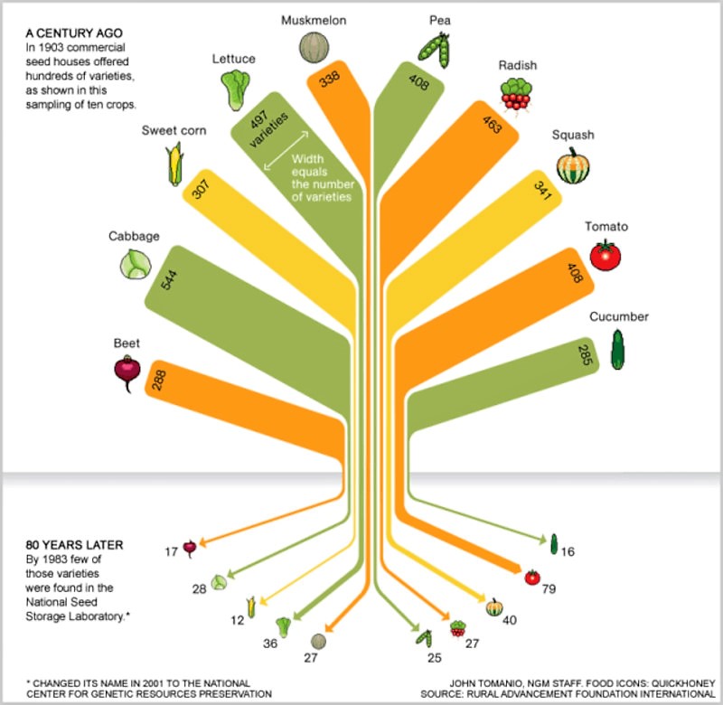 Grow Heirloom Seeds and Help Preserve Crop Diversity