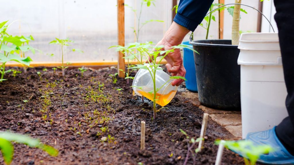 Have You Tried Liquid Fertilizers in Your Organic Garden?