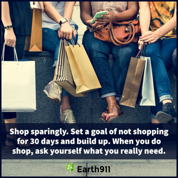 We Earthlings: Shop Sparingly