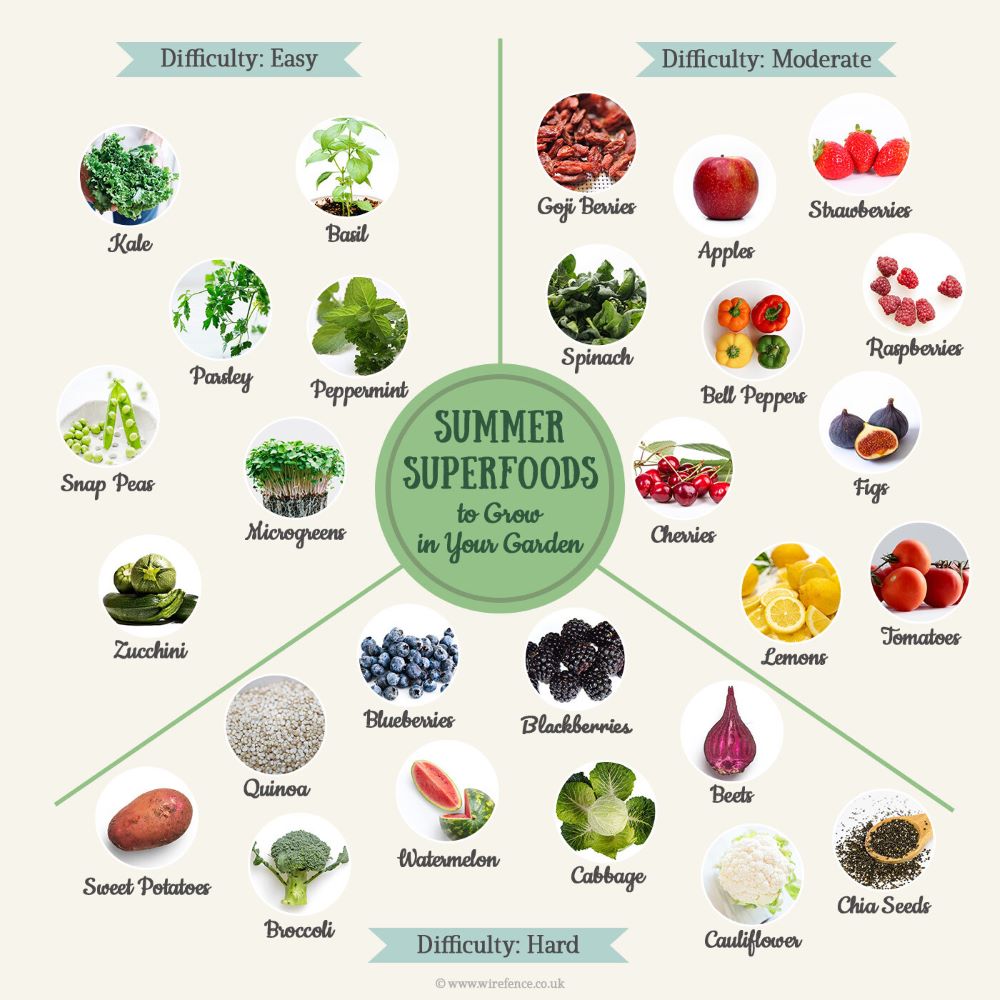 Summer Superfoods You Can Grow at Home