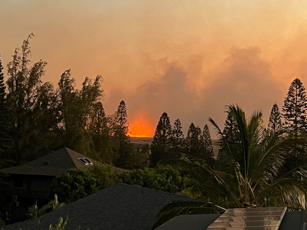 Hawaii is counting the cost after deadly wildfire nears 100 casualties