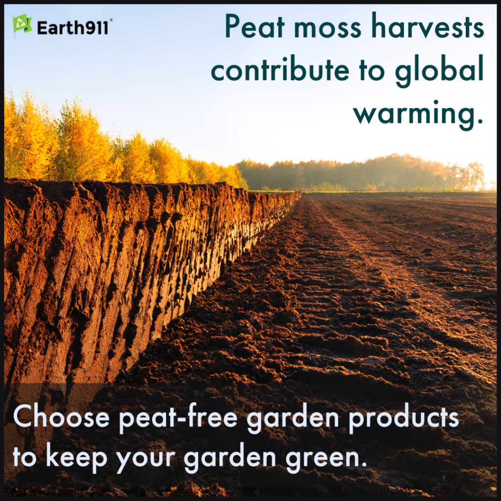 We Earthlings: Choose Peat-Free Garden Products