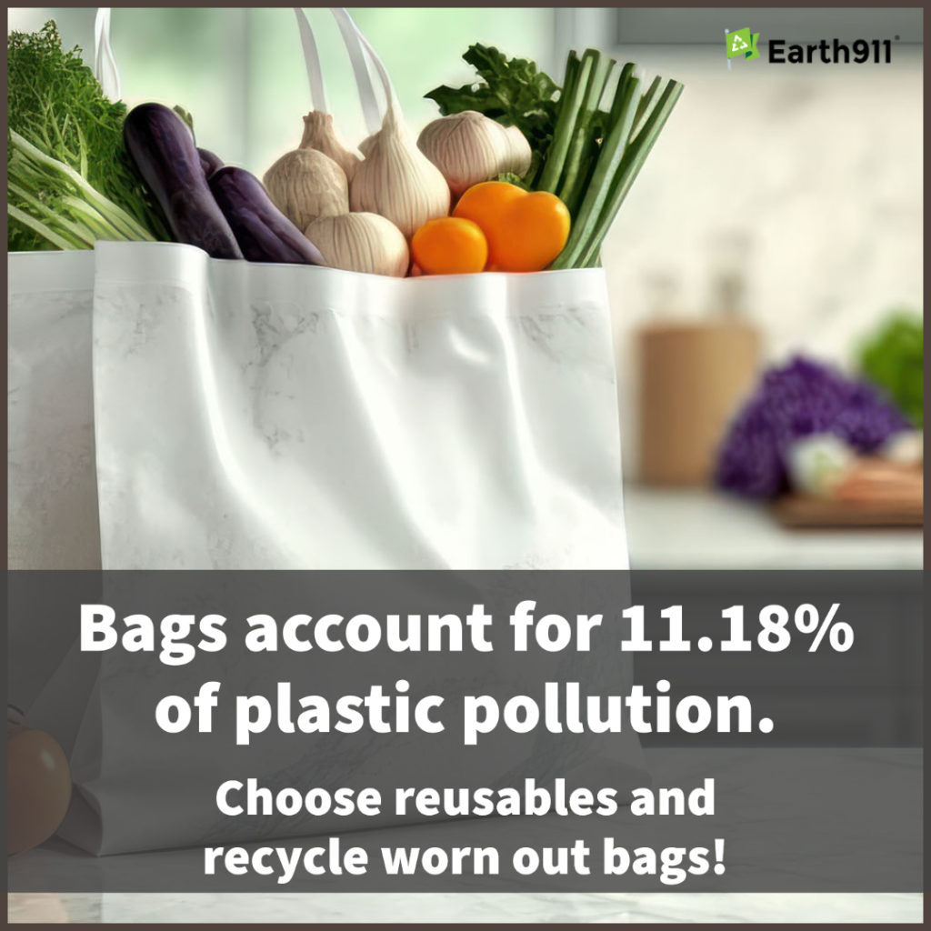 We Earthlings: Plastic Bag Pollution