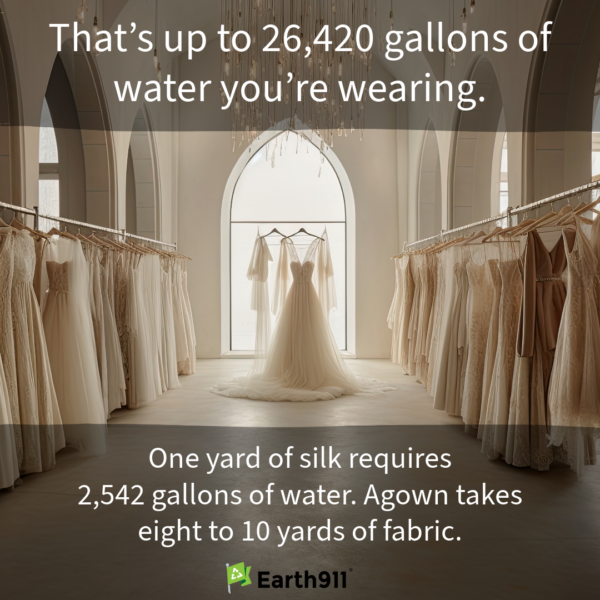 We Earthlings: The Water Cost of Silk