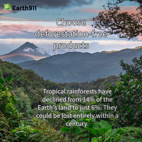 We Earthlings: Shop To Stop Deforestation